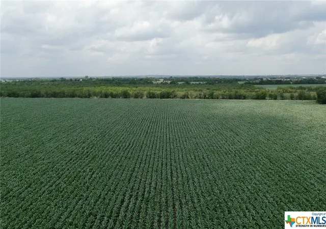 Photo 4 of House for sale at 0000 Schmoekel Rd, Marion, TX 78124 | MLS# 473364 | Listing updated on 2026-06-10