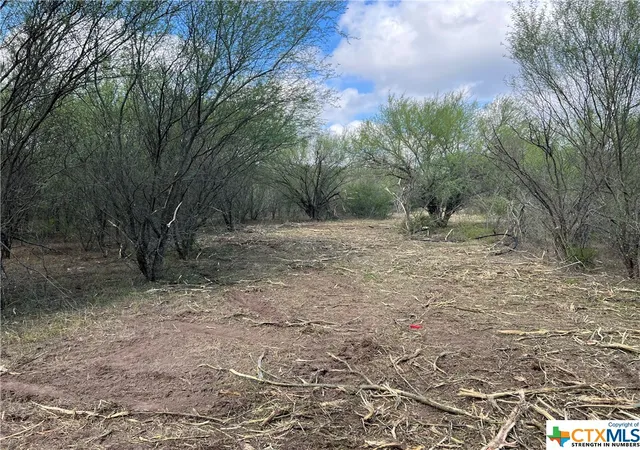 Photo 2 of Land for sale at 1867 Old Gonzales Rd, Cuero, TX 77954 | MLS# 525680 | Listing updated on 2026-08-18