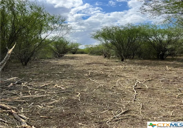 Photo 3 of Land for sale at 1867 Old Gonzales Rd, Cuero, TX 77954 | MLS# 525680 | Listing updated on 2026-08-18