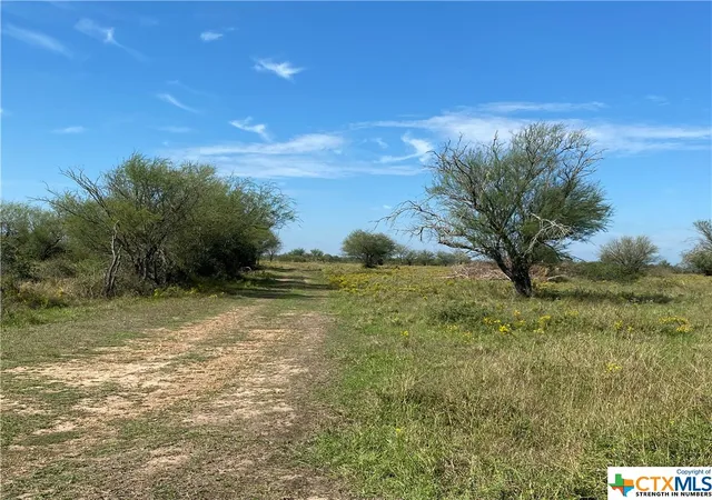 Photo 4 of Sale Pending at Tbd Parsons, Victoria, TX 77904 | MLS# 527065 | Listing updated on 2026-09-15