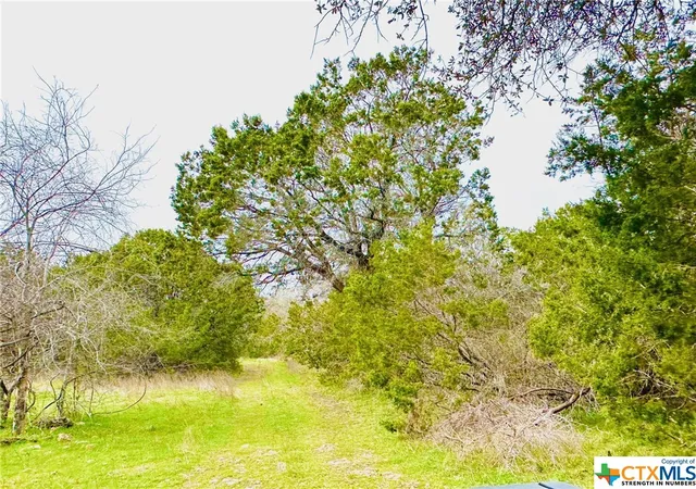 Photo 3 of Sale Pending at Tbd 2 County Rd 107, Gatesville, TX 76528 | MLS# 533956 | Listing updated on 2026-08-29