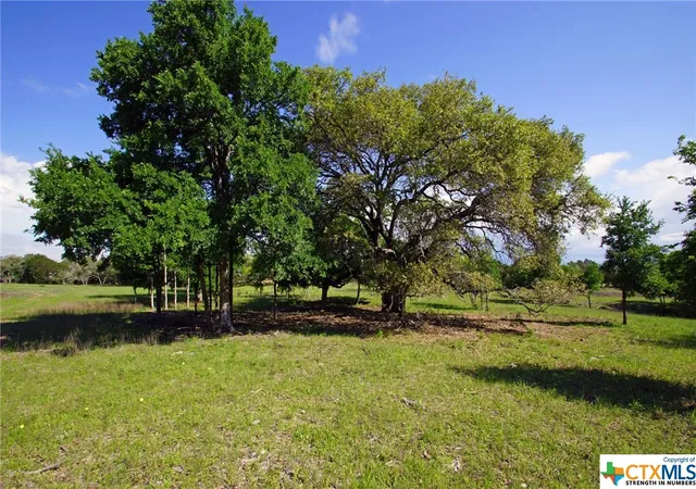 Photo 2 of Land for sale at Lot 48 Bridget Ct, Liberty Hill, TX 78642 | MLS# 540491 | Listing updated on 2026-08-27