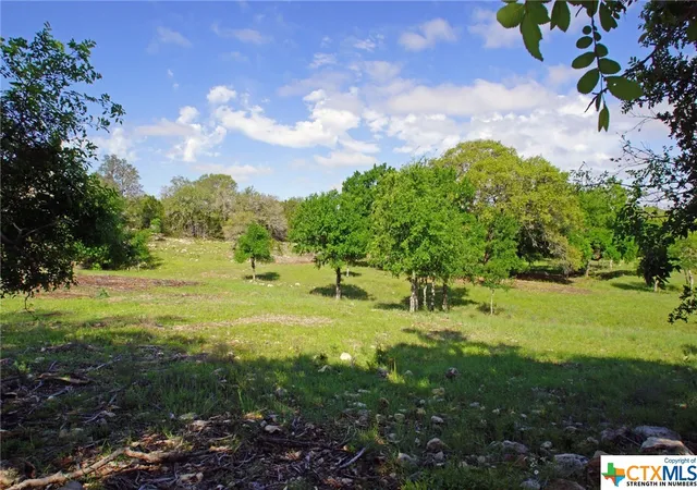Photo 3 of Land for sale at Lot 48 Bridget Ct, Liberty Hill, TX 78642 | MLS# 540491 | Listing updated on 2026-08-27