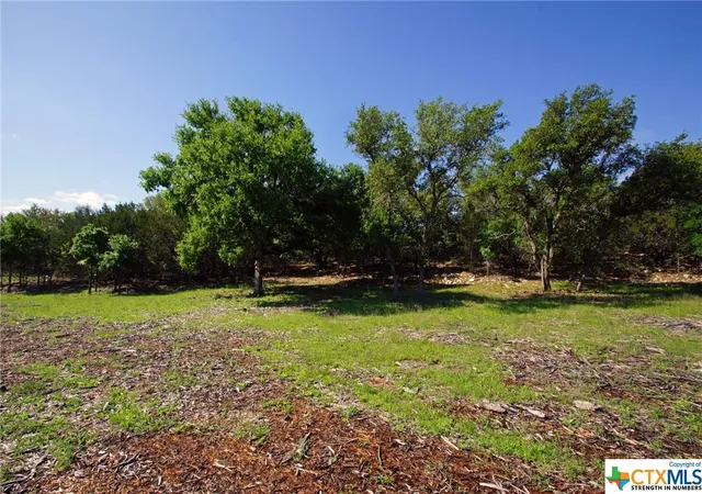 Photo 3 of Land for sale at Lot 48 Bridget Ct, Liberty Hill, TX 78642 | MLS# 540491 | Listing updated on 2026-08-27