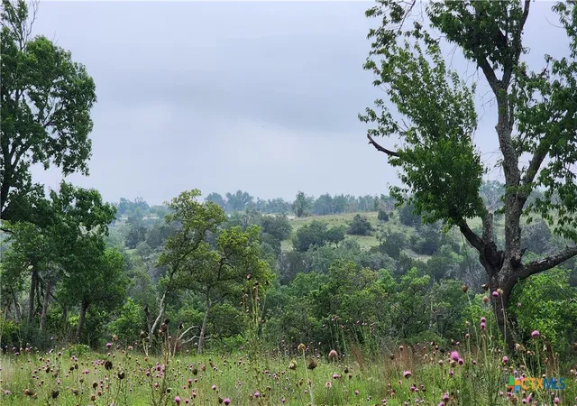 Photo 2 of Land for sale at Lot 48 Ridgeline Rd, Fredericksburg, TX 78624 | MLS# 546579 | Listing updated on 2026-08-28
