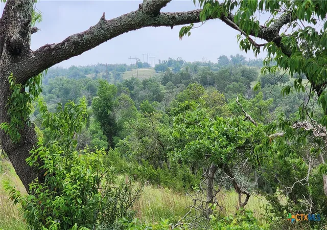 Photo 3 of Land for sale at Lot 48 Ridgeline Rd, Fredericksburg, TX 78624 | MLS# 546579 | Listing updated on 2026-08-28