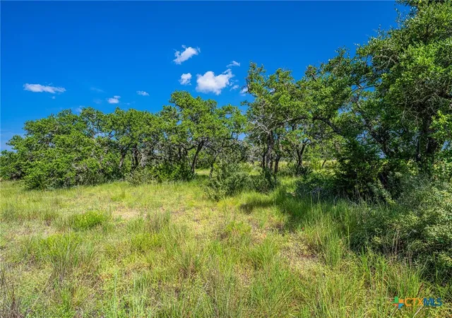 Photo 3 of Land for sale at 613 Cattle Crk Rd, Johnson City, TX 78636 | MLS# 555164 | Listing updated on 2026-09-02