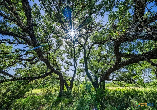 Photo 4 of Land for sale at 613 Cattle Crk Rd, Johnson City, TX 78636 | MLS# 555164 | Listing updated on 2026-09-02