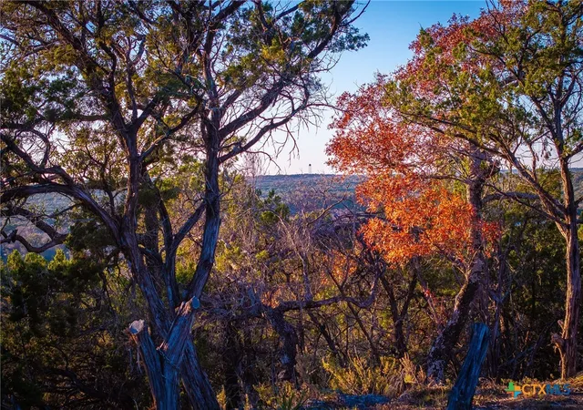 Photo 3 of Land for sale at 1845 Paradise Pkwy, Canyon Lake, TX 78133 | MLS# 567975 | Listing updated on 2026-08-28