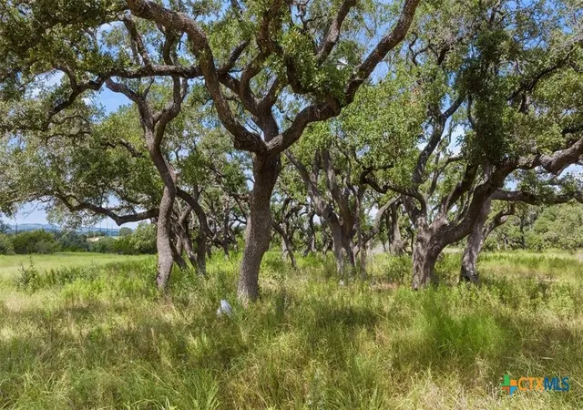 Photo 2 of Land for sale at Lot 1 Legacy Hills Dr, Johnson City, TX 78636 | MLS# 568304 | Listing updated on 2026-08-28