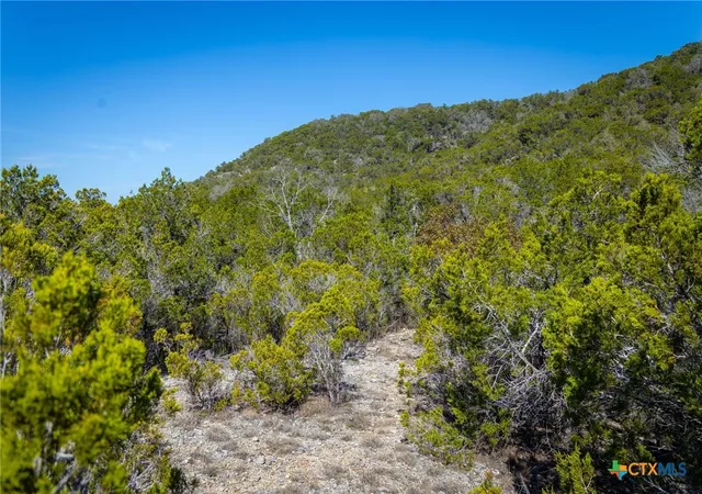 Photo 4 of Land for sale at 837 Crystal Peak Dr, Fischer, TX 78623 | MLS# 570645 | Listing updated on 2026-08-28