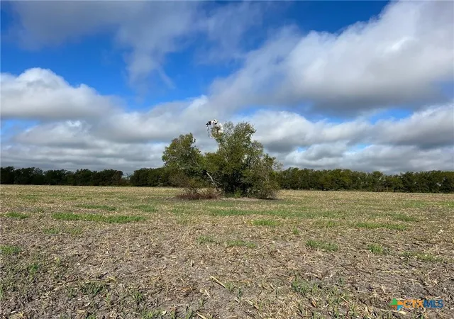 Photo 1 of Land for sale at Tbd Cr 117, Rogers, TX 76569 | MLS# 571493 | Listing updated on 2026-08-31