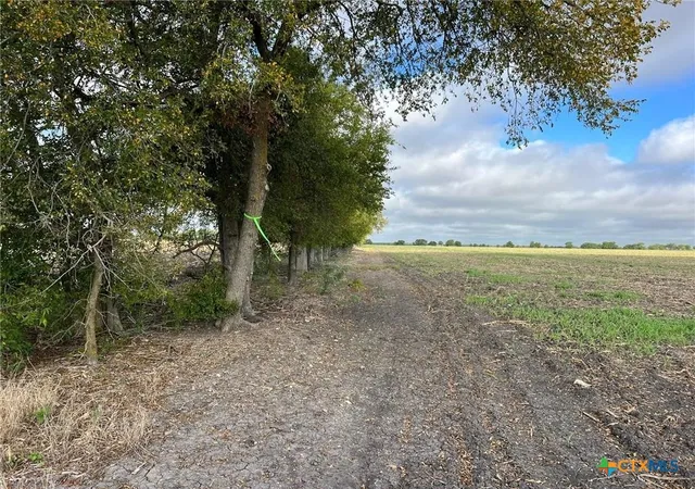 Photo 2 of Land for sale at Tbd Cr 117, Rogers, TX 76569 | MLS# 571493 | Listing updated on 2026-08-31