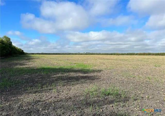 Photo 3 of Land for sale at Tbd Cr 117, Rogers, TX 76569 | MLS# 571493 | Listing updated on 2026-08-31
