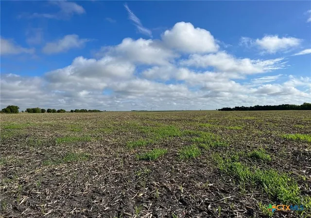 Photo 4 of Land for sale at Tbd Cr 117, Rogers, TX 76569 | MLS# 571493 | Listing updated on 2026-08-31