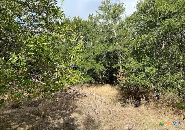 Photo 9 of Land for sale at Tbd Cr 117, Rogers, TX 76569 | MLS# 571493 | Listing updated on 2026-08-31