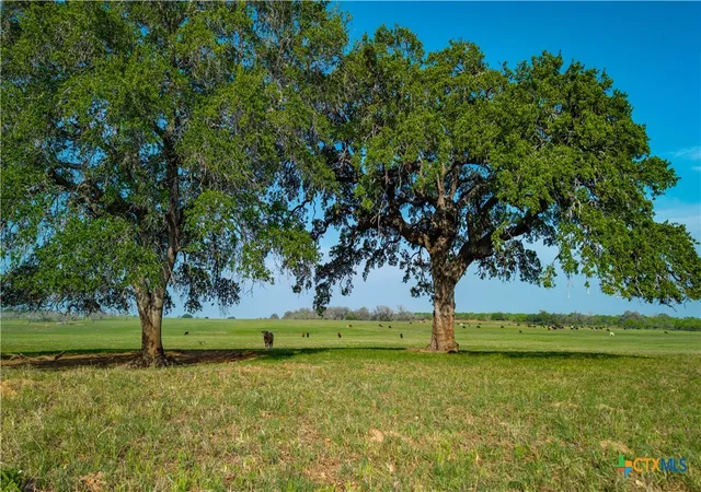 Photo 2 of Land for sale at Tbd County Rd 404, Floresville, TX 78114 | MLS# 576978 | Listing updated on 2026-09-16