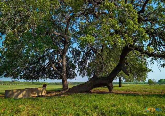 Photo 3 of Land for sale at Tbd County Rd 404, Floresville, TX 78114 | MLS# 576978 | Listing updated on 2026-09-16