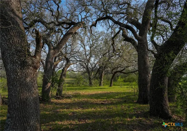 Photo 4 of House for sale at Tbd County Rd 404, Floresville, TX 78114 | MLS# 576978 | Listing updated on 2026-09-16