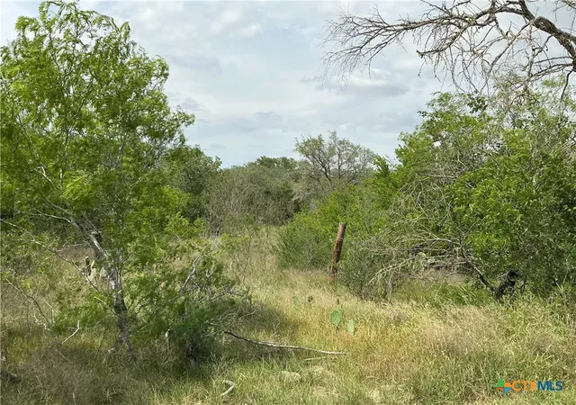 Photo 1 of Land for sale at 1066 Robertson Rd, Smiley, TX 78159 | MLS# 581058 | Listing updated on 2026-08-31