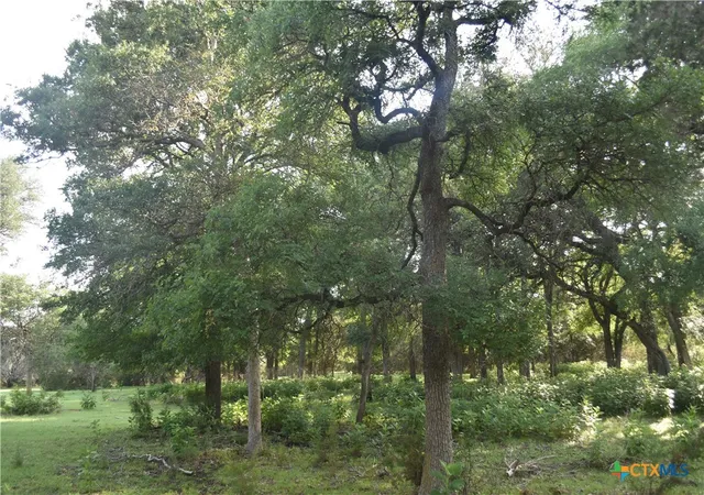 Photo 2 of Land for sale at 18661 Wolfridge Rd, Killeen, TX 76549 | MLS# 582545 | Listing updated on 2026-09-01