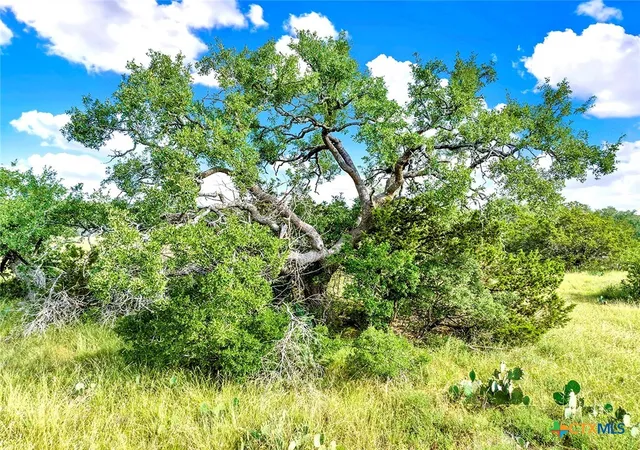 Photo 3 of Land for sale at Tbd Oakwood Loop, San Marcos, TX 78666 | MLS# 583744 | Listing updated on 2026-09-15