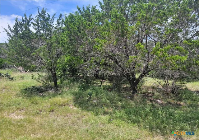 Photo 1 of Land for sale at 16011 Brazos Dr, Temple, TX 76502 | MLS# 587394 | Listing updated on 2026-08-05