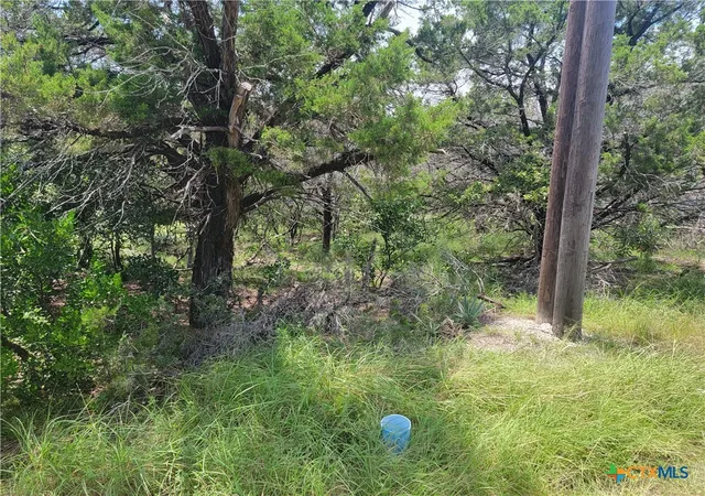 Photo 4 of Land for sale at 16011 Brazos Dr, Temple, TX 76502 | MLS# 587394 | Listing updated on 2026-08-05