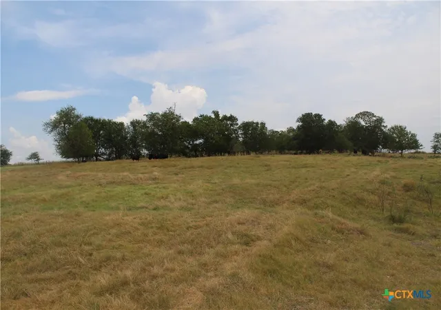 Photo 3 of Land for sale at Tba County Rd 417, Taylor, TX 76574 | MLS# 590452 | Listing updated on 2026-08-31