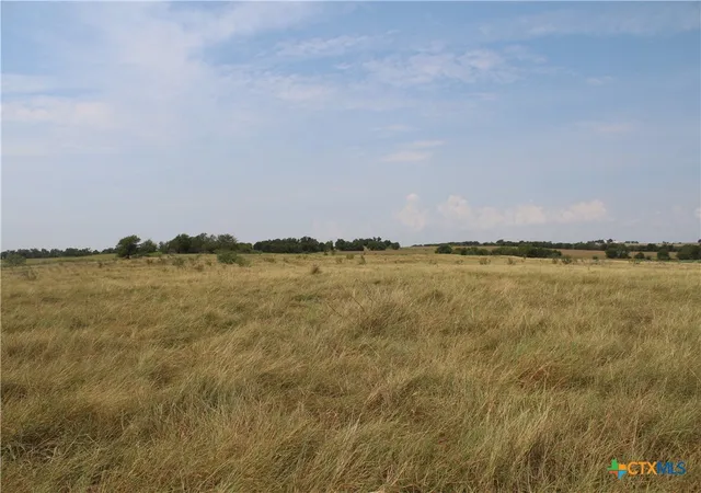 Photo 3 of Land for sale at Tba County Rd 417, Taylor, TX 76574 | MLS# 590452 | Listing updated on 2026-08-31