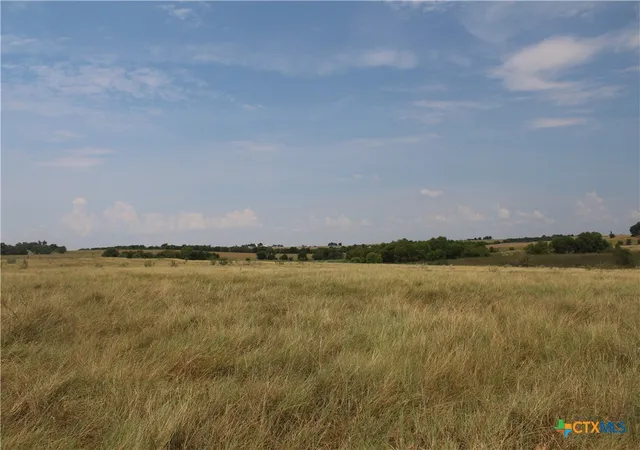 Photo 4 of Land for sale at Tba County Rd 417, Taylor, TX 76574 | MLS# 590452 | Listing updated on 2026-08-31