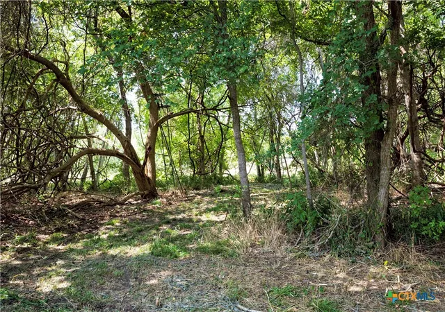 Photo 3 of Land for sale at 710 County Rd 211a, Hallettsville, TX 77964 | MLS# 591941 | Listing updated on 2026-08-21