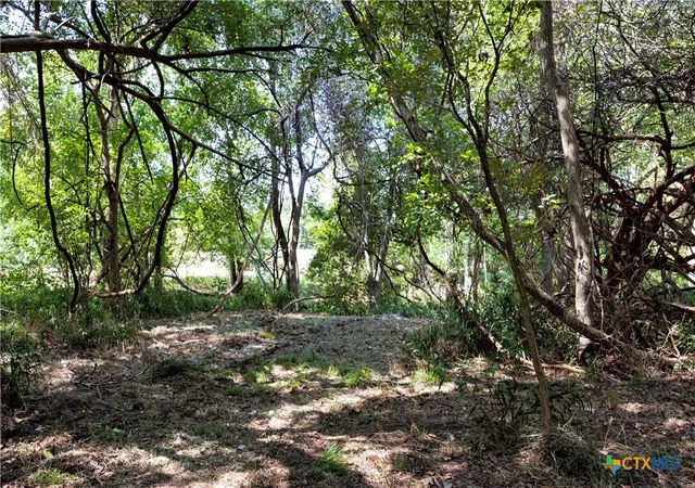 Photo 3 of Land for sale at 710 County Rd 211a, Hallettsville, TX 77964 | MLS# 591941 | Listing updated on 2026-08-21