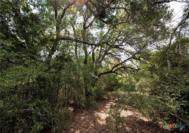Photo 4 of Land for sale at 710 County Rd 211a, Hallettsville, TX 77964 | MLS# 591941 | Listing updated on 2026-08-21