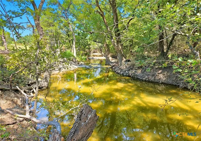 Photo 2 of Land for sale at Tbd 176 Acres Fm 116 Rd, Gatesville, TX 76528 | MLS# 592485 | Listing updated on 2026-09-02
