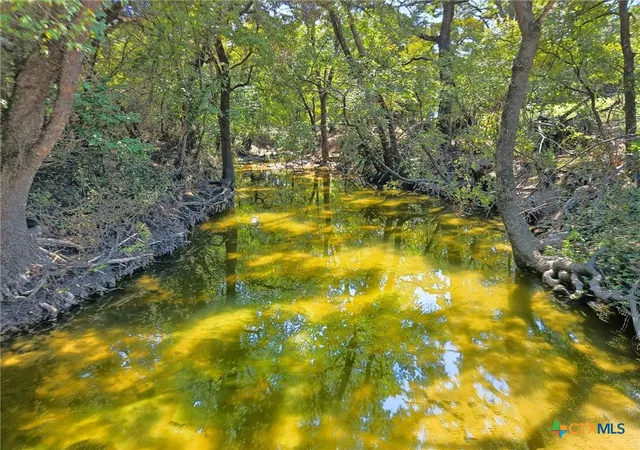 Photo 3 of Land for sale at Tbd 176 Acres Fm 116 Rd, Gatesville, TX 76528 | MLS# 592485 | Listing updated on 2026-09-02