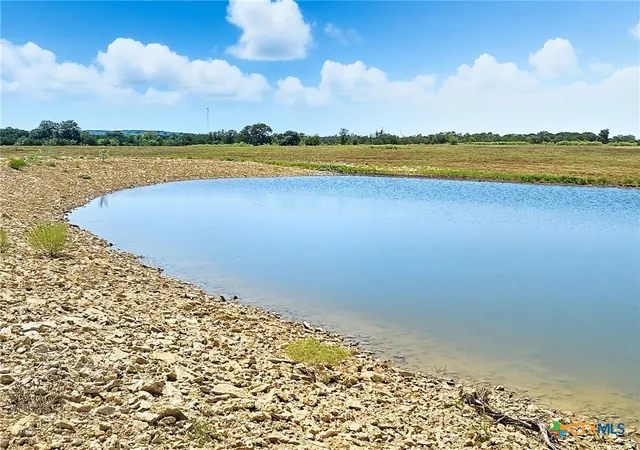 Photo 4 of Land for sale at Tbd-176 Acres Fm 116 Rd, Gatesville, TX 76528 | MLS# 592485 | Listing updated on 2026-09-02