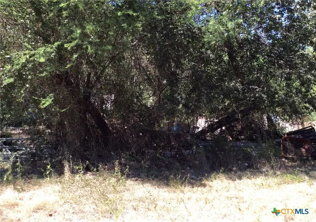 Photo 2 of Land for sale at 000 S Us Hwy 87, Cuero, TX 77954 | MLS# 592608 | Listing updated on 2026-09-09