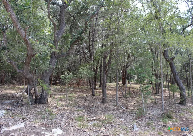 Photo 2 of Land for sale at 151 Eden Ranch Dr, Canyon Lake, TX 78133 | MLS# 592837 | Listing updated on 2026-08-07