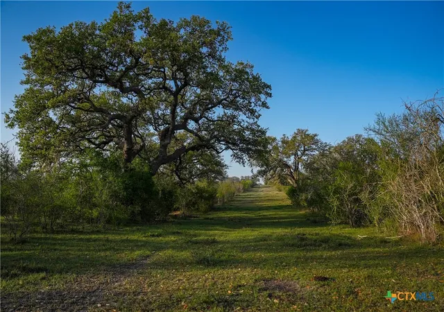 Photo 1 of Single family home for sale at 8440 State Hwy 239, Goliad, TX 77963 | MLS# 592864 | Listing updated on 2026-08-03