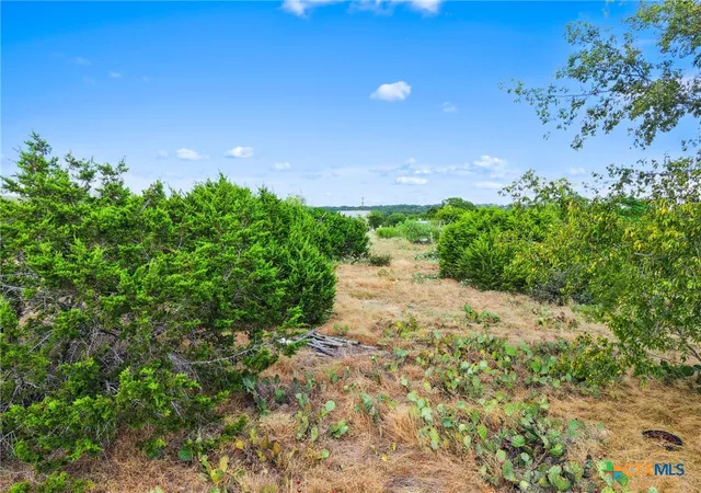 Photo 2 of Land for sale at 0 Cr 4818 0000, Kempner, TX 76539 | MLS# 594175 | Listing updated on 2026-09-08
