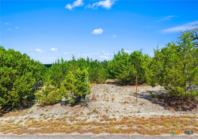 Photo 3 of Land for sale at 0 Cr 4818 0000, Kempner, TX 76539 | MLS# 594175 | Listing updated on 2026-09-08