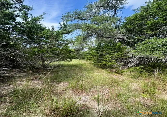 Photo 2 of Sale Pending at Tbd Lot 3 Royal Eagle Dr, Fischer, TX 78623 | MLS# 595363 | Listing updated on 2026-09-01