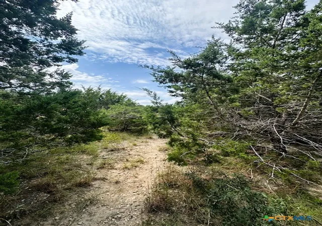 Photo 3 of Sale Pending at Tbd Lot 3 Royal Eagle Dr, Fischer, TX 78623 | MLS# 595363 | Listing updated on 2026-09-01