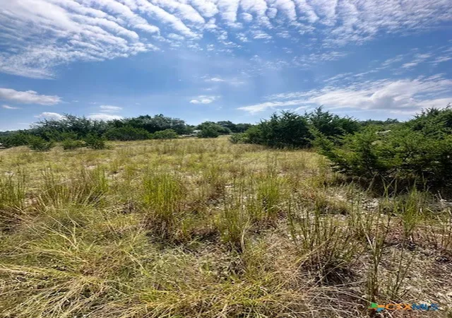 Photo 3 of Sale Pending at Tbd Lot 3 Royal Eagle Dr, Fischer, TX 78623 | MLS# 595363 | Listing updated on 2026-09-01