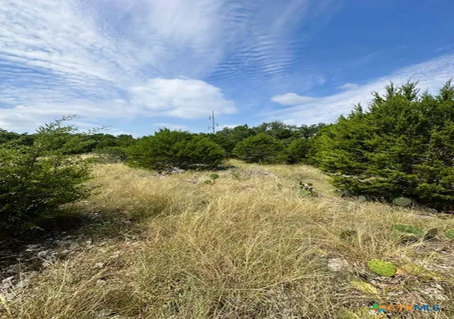 Photo 4 of Sale Pending at Tbd Lot 3 Royal Eagle Dr, Fischer, TX 78623 | MLS# 595363 | Listing updated on 2026-09-01