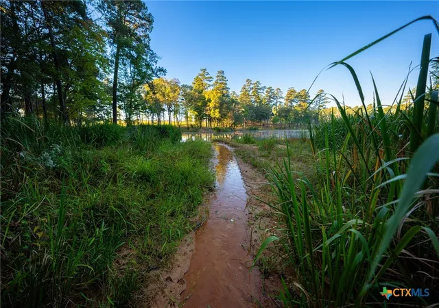 Photo 3 of Land for sale at 10326 Cr 3112 N, Kilgore, TX 75662 | MLS# 596421 | Listing updated on 2026-09-14