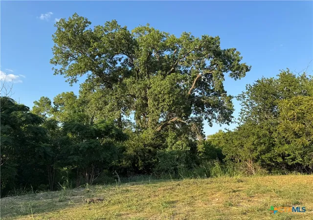 Photo 3 of Land for sale at 4401 Trimmier Rd, Killeen, TX 76542 | MLS# 596434 | Listing updated on 2026-09-08
