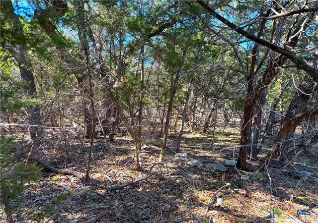 Photo 3 of Land for sale at 426 Clay Rdg, Canyon Lake, TX 78133 | MLS# 596684 | Listing updated on 2026-08-04