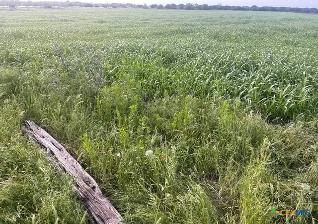 Photo 2 of Land for sale at Tbd Private Road 3642, Copperas Cove, TX 76522 | MLS# 596835 | Listing updated on 2026-09-28